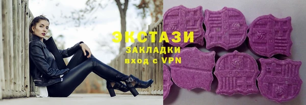 индика Гусь-Хрустальный