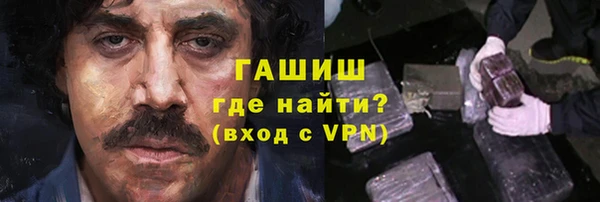 индика Гусь-Хрустальный