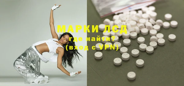 индика Гусь-Хрустальный