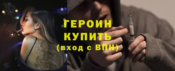 индика Гусь-Хрустальный