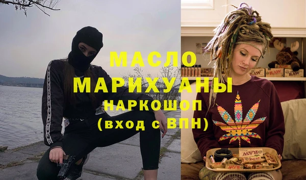 индика Гусь-Хрустальный