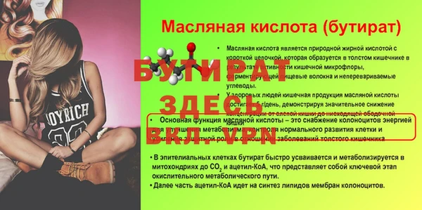 индика Гусь-Хрустальный