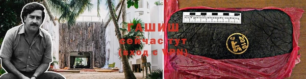 индика Гусь-Хрустальный