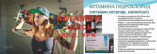 трава Гусев