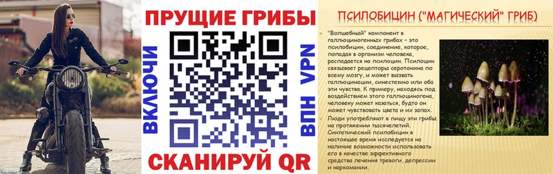 купить закладку  Ефремов  Галлюциногенные грибы GOLDEN TEACHER 